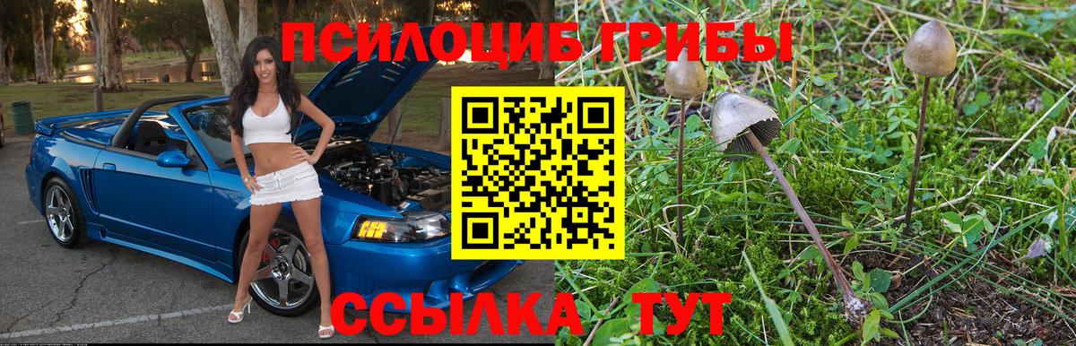 Галлюциногенные грибы мицелий  как найти закладки  Мичуринск  Вход с VPN  Псилоцибиновые грибы Psilocybe 