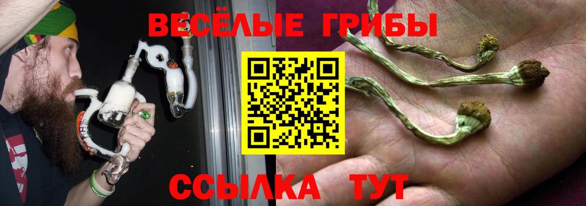 Галлюциногенные грибы мицелий Мичуринск