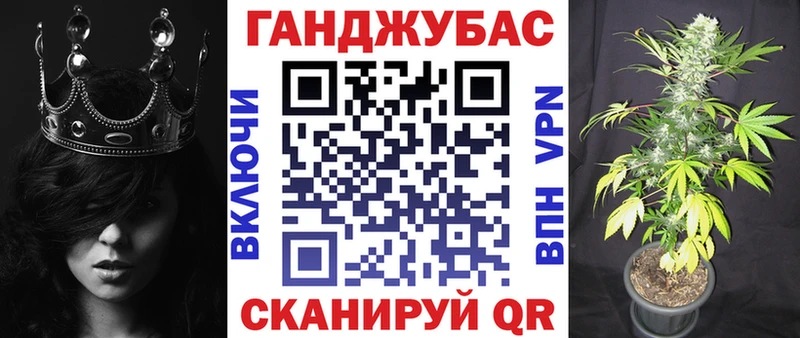 где можно купить наркотик  Мичуринск  ссылка на мегу ссылка  Конопля White Widow 